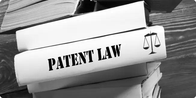 Patent Law | Florida Registered Patent Attorney | T: 954-452-0033